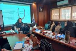 برگزاری جلسه آموزشی باروری سالم در شهرستان اسلامشهر